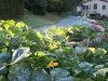 allee-fleurie_1