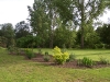 Bosquet du muret 2