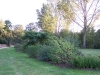 Bosquet du muret 4