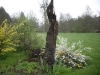 Bosquet du muret 6