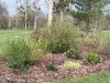 Bosquet du potager 02