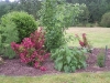 Bosquet du potager 03
