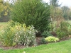 Bosquet du potager 04