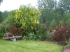 Bosquet du potager 07