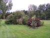 Bosquet du potager 08
