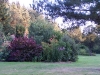 Bosquet du potager 09