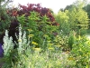 Bosquet du potager 10
