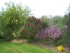 Bosquet du potager 12