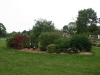 Bosquet du potager 13
