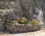 Corbeilles de la rocaille 05