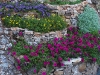 Corbeilles de la rocaille 16