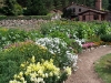 Mixed-border 04