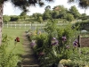 Mixed-border 01