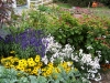 Mixed-border 07