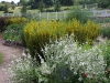 Mixed-border 10