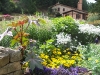 Mixed-border 11