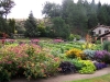 Mixed-border 12