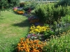 Mixed-border 14