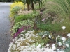 Muret de la chÃªnaie 5
