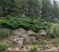 roseraie_partie-basse01
