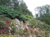 roseraie_partie-basse05