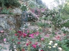 roseraie_partie-basse06