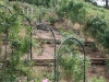 roseraie_partie-en-terrasses01