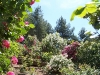 roseraie_partie-en-terrasses02