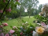 roseraie_vue-sur-la-prairie