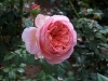 Abraham Darby