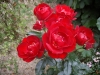 Centenaire de Lourdes rouge