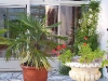 Terrasse 4