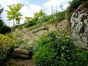 Grand talus Grand talus