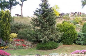 Les talus Les talus