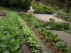 Potager 04