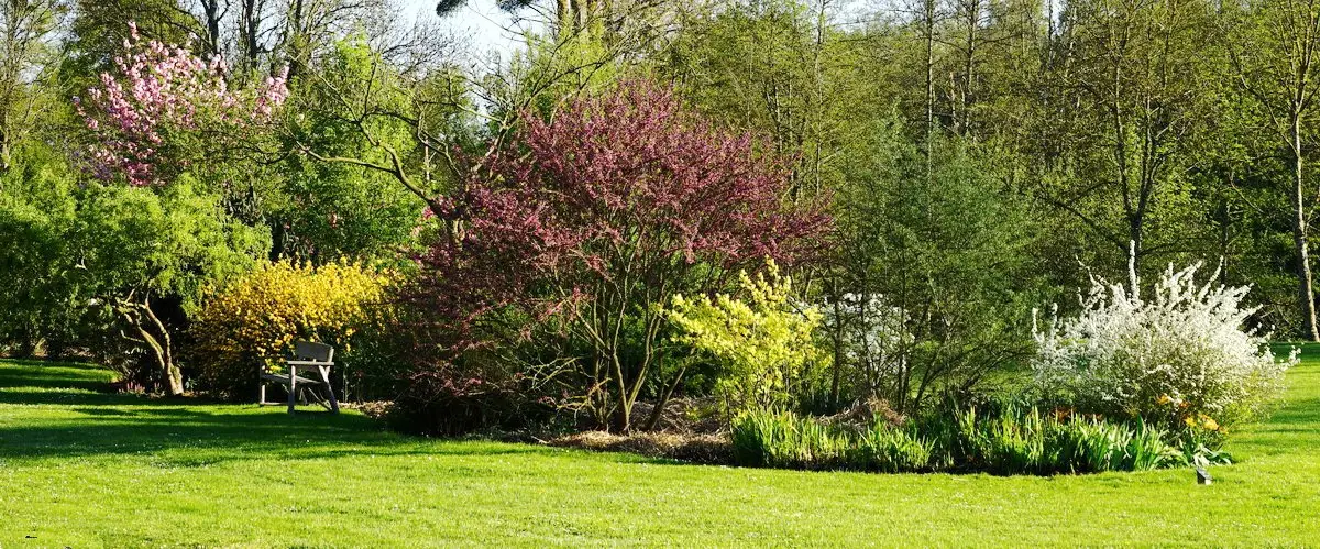 Bosquet des vagabondes