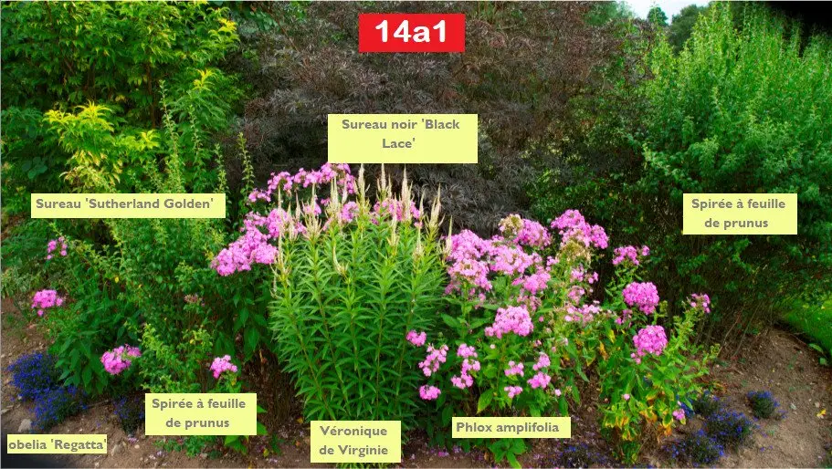 Exemple de photo du guide