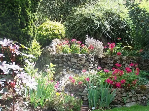 Corbeilles du petit talus