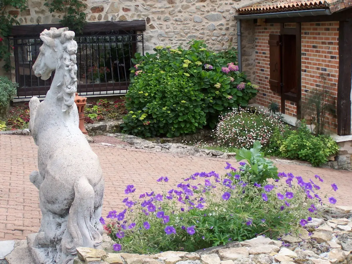 Geranium 'Orion' au pied du cheval