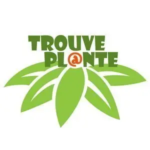 Trouve Plante