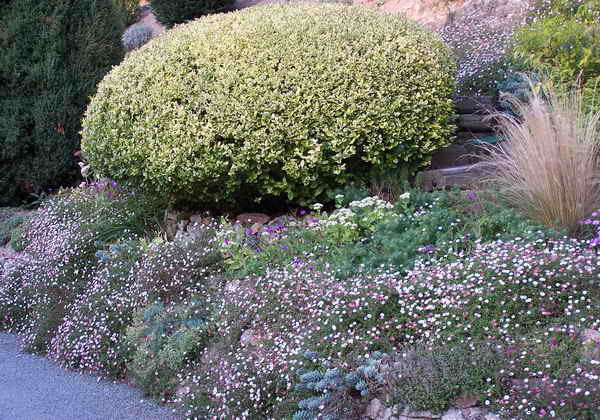 Muret bas de talus