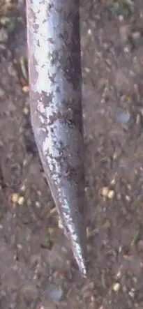 le biseau très pénétrant des dents de grelinette